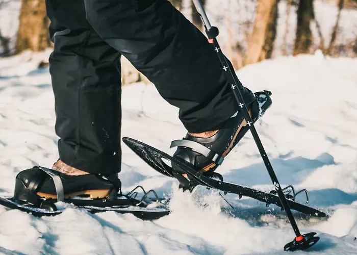 Lepaan Kartanon Vierashuone 4*